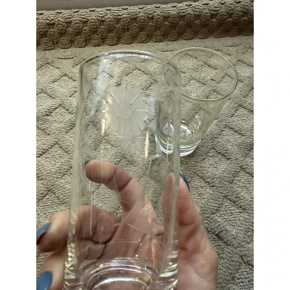 Vintage Mid-Century Etched Floral Highball Glasses, Set of 2
